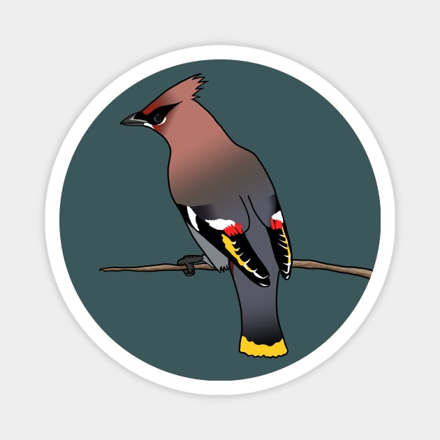 Bohemian Waxwing Magnet by Feathered Focus